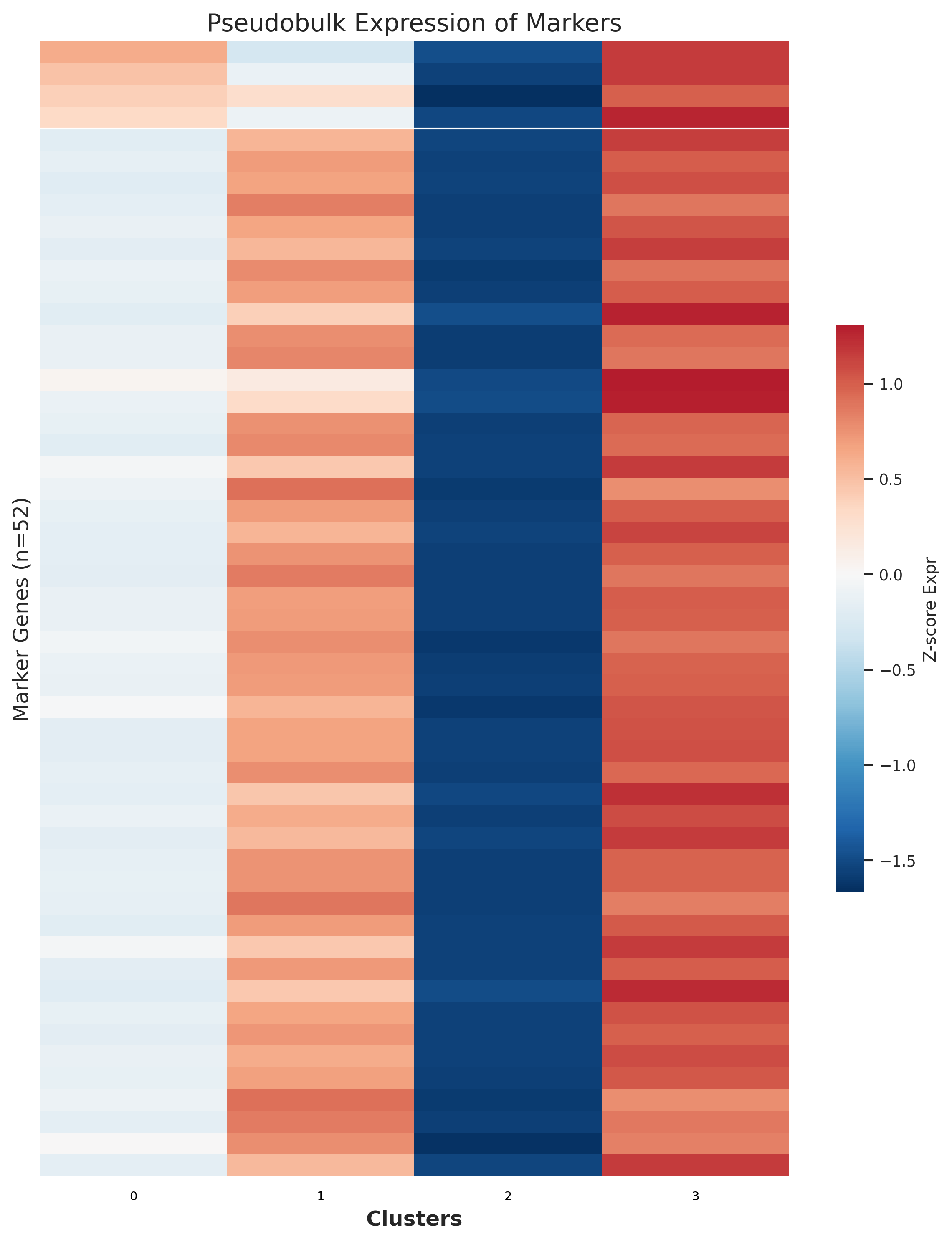 Pseudobulk heatmap across clusters