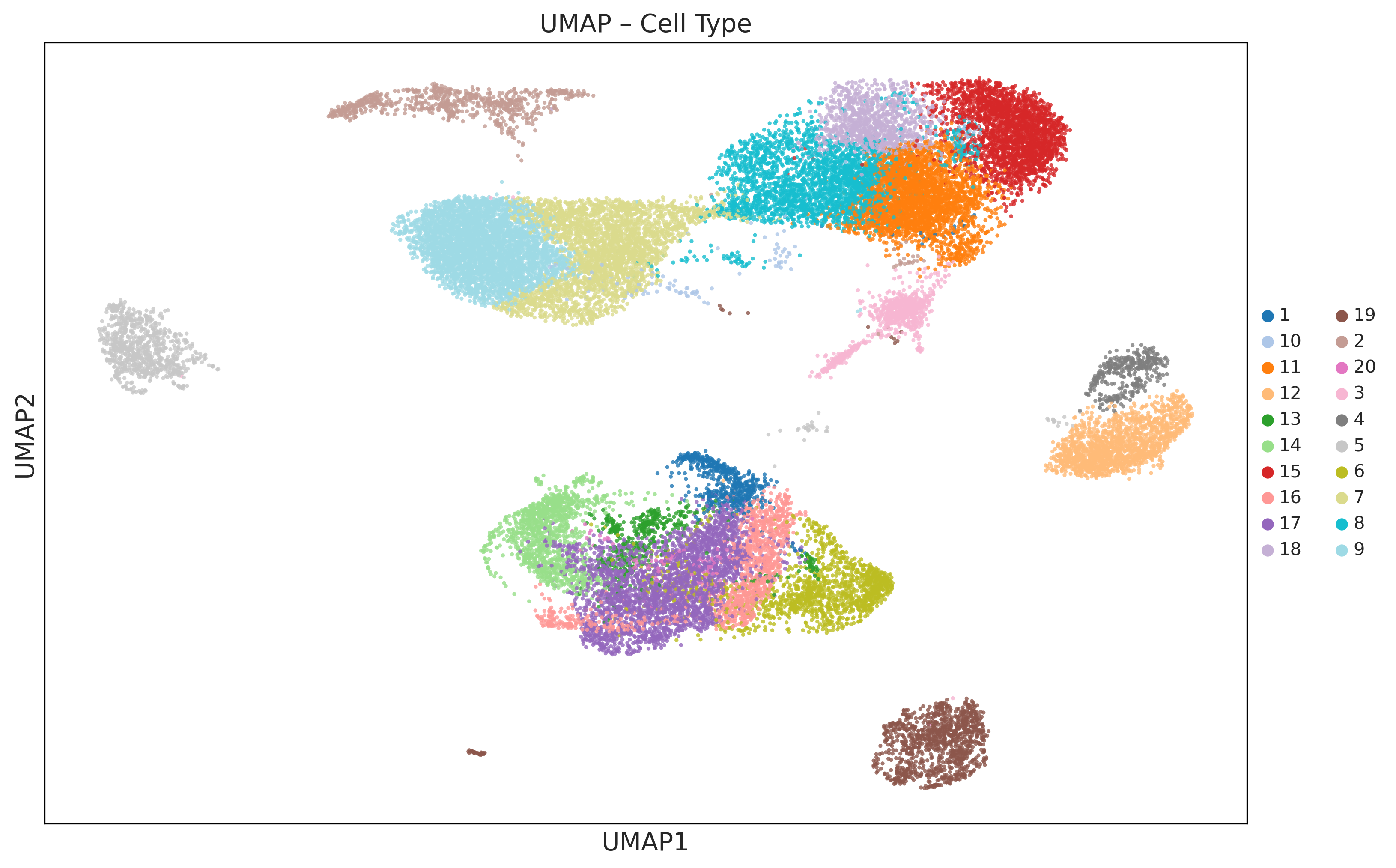UMAP colored by Leiden cell types