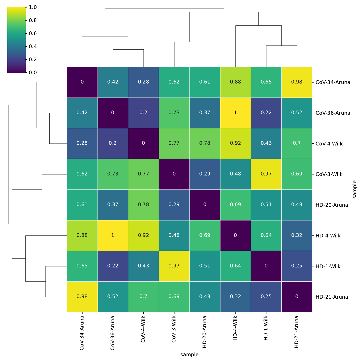 Correlation on the sample embedding
