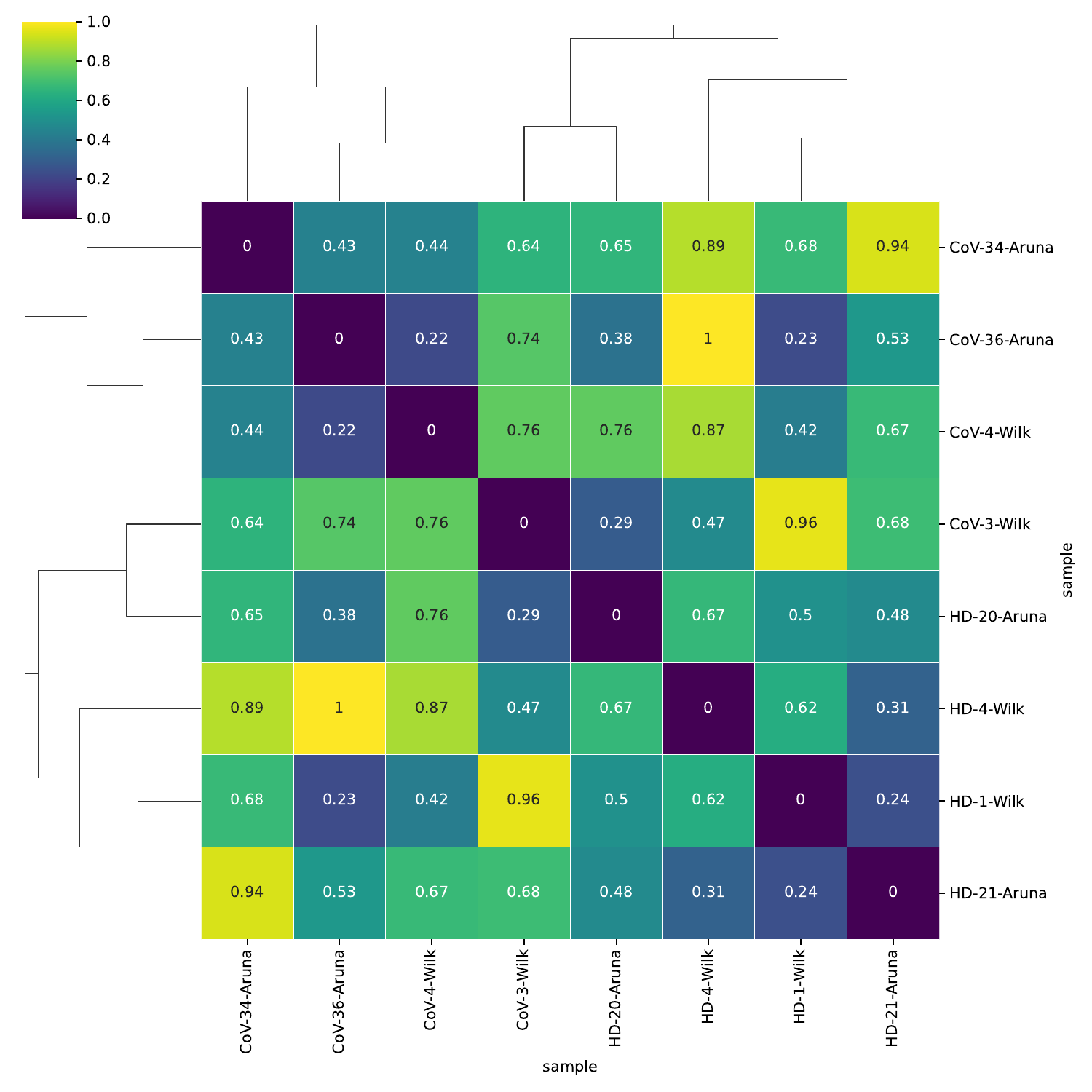 Cosine on the sample embedding